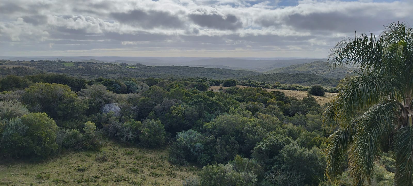 Área de Trekking
